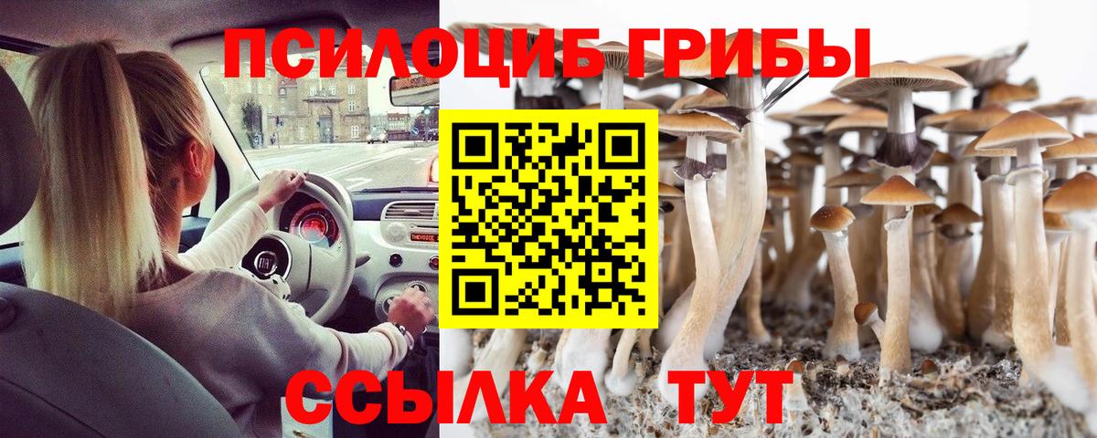 Галлюциногенные грибы мухоморы Нижний Новгород